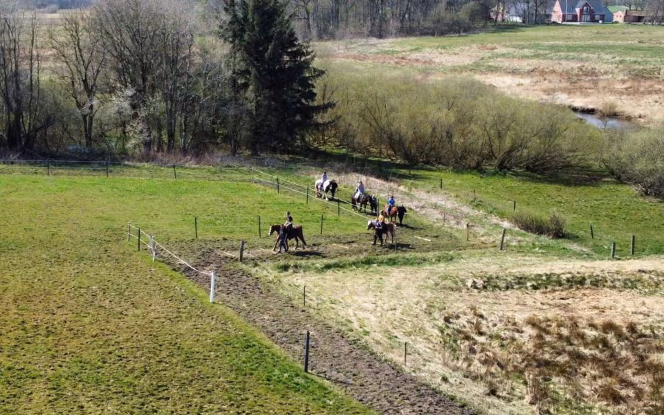 Rideklubben Ansager søger en lånehest