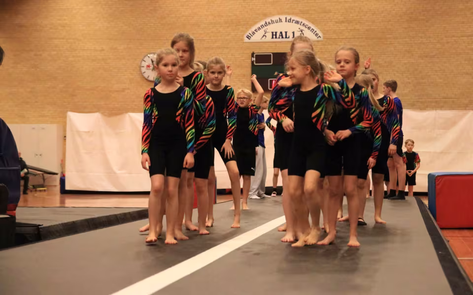 Stor succes ved DGI's opvisning