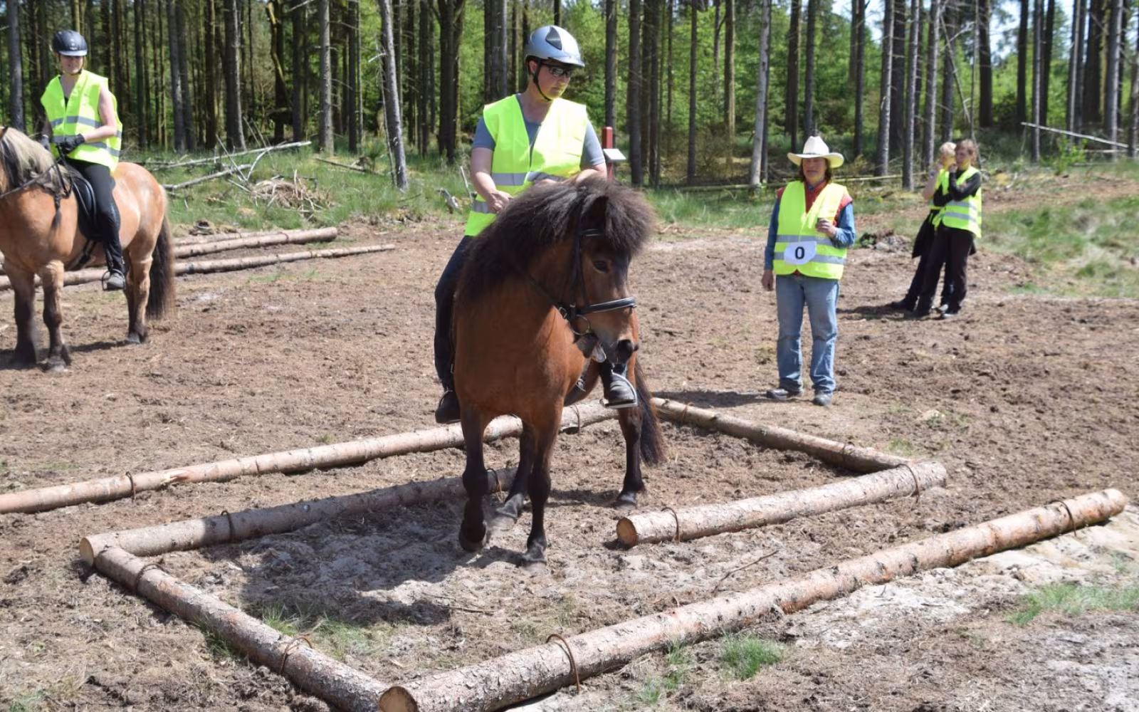 Ridestier i Frederikshåb Plantage