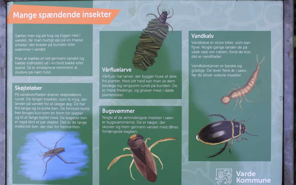 Nye skilte oplyser om sjælden guldsmed