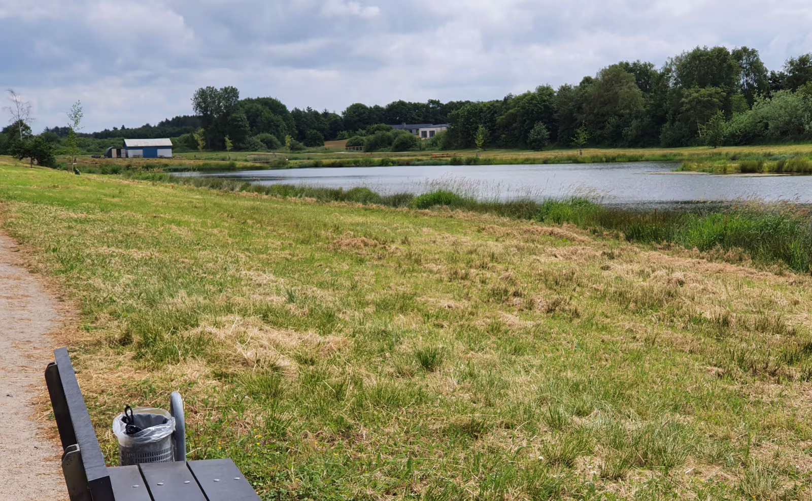 Efter klipning af hele arealet i Søparken, skal man kigge langt efter enkelte blomster