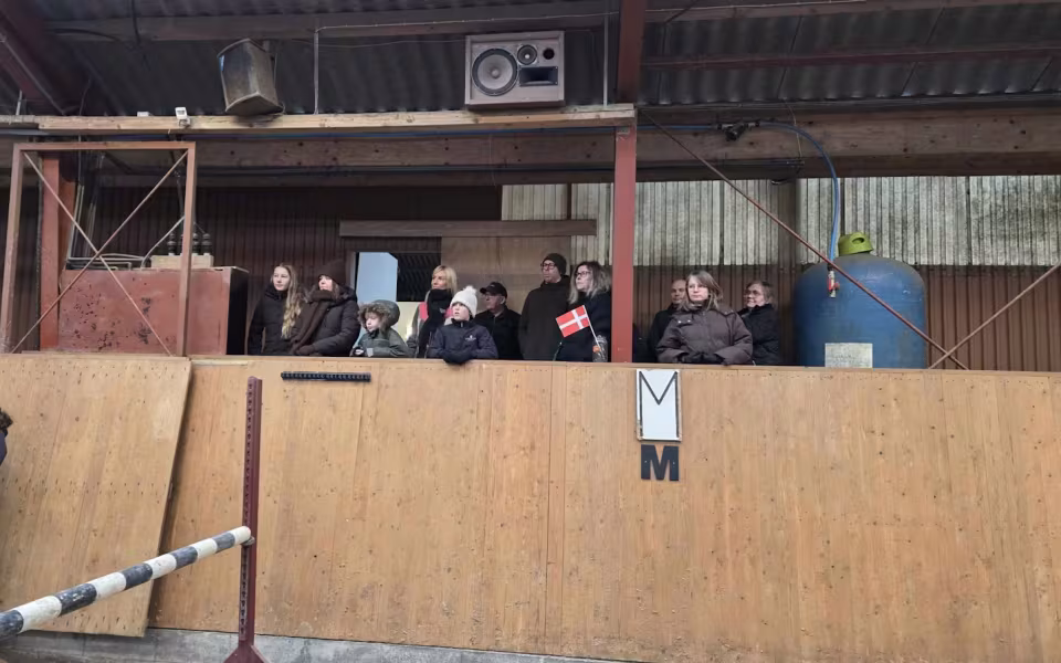 Ølgod & Omegns Rideklub fejrede 50-års jubilæum med taler, opvisning og fællesskab.