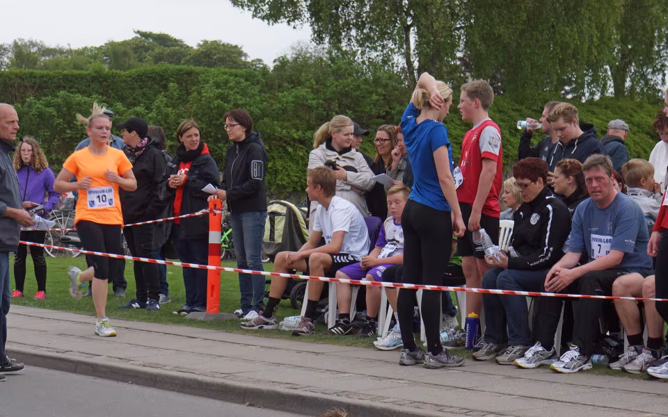 Torvedag i Ansager 2013