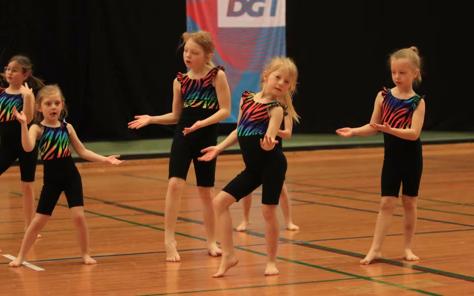 Stor succes ved DGI's opvisning