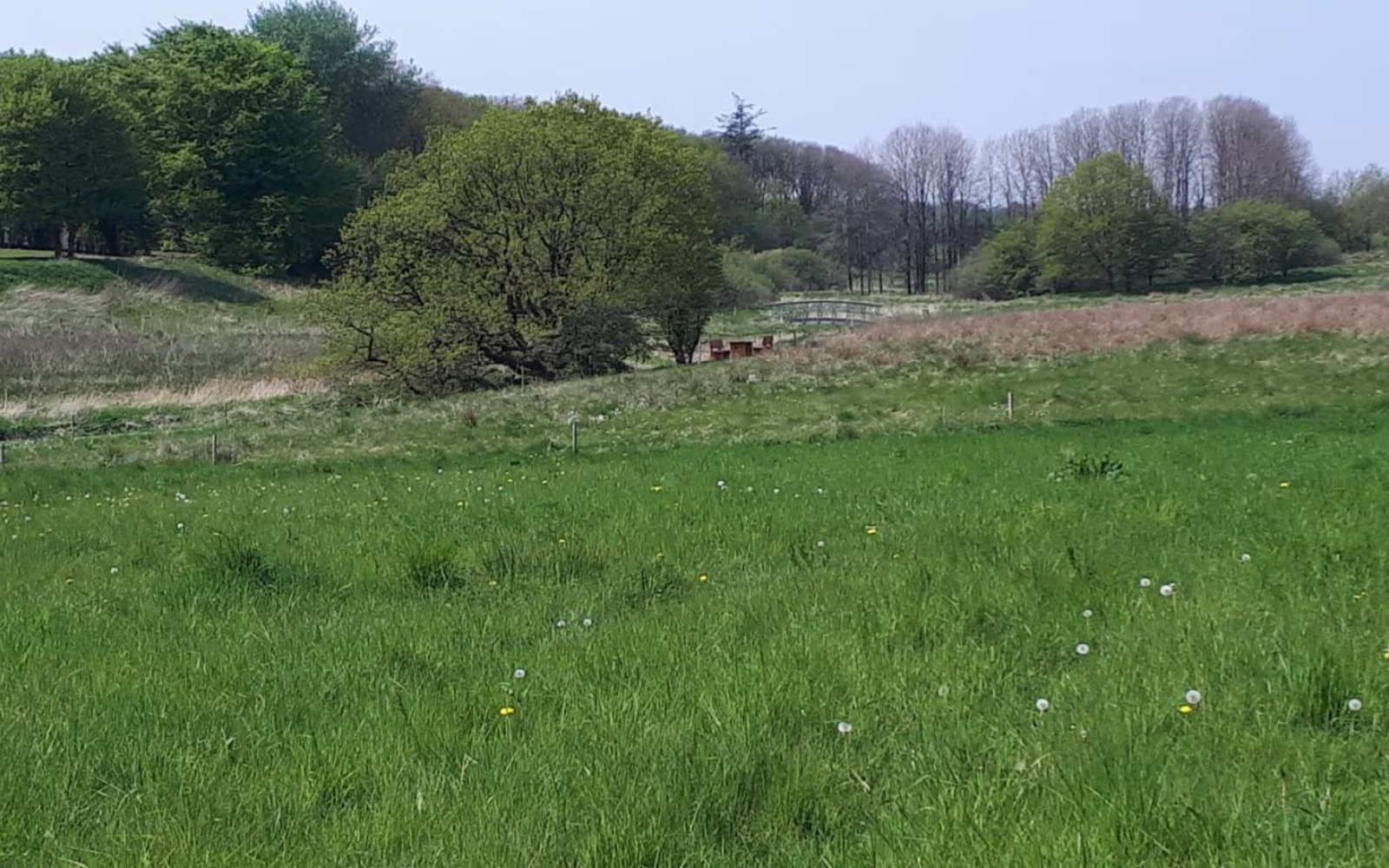 I vikingernes fodspor - Rød rute