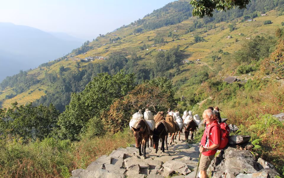 foredrag  om Nepal kl.14
