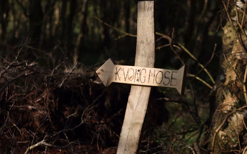 Kvong Mose: En unik naturperle