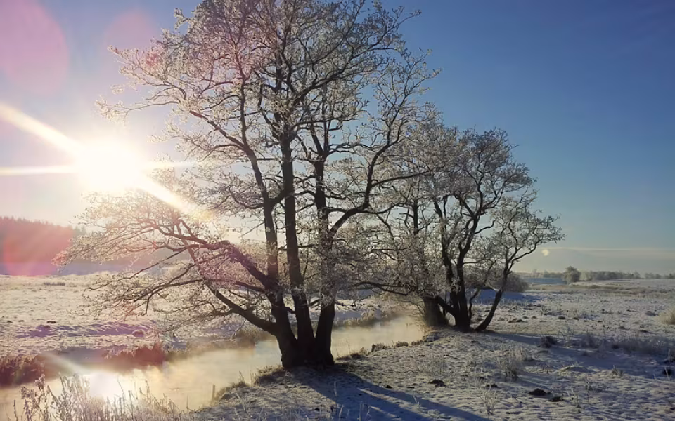 Frostbilleder