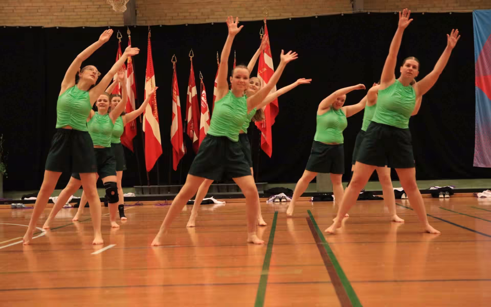 Stor succes ved DGI's opvisning