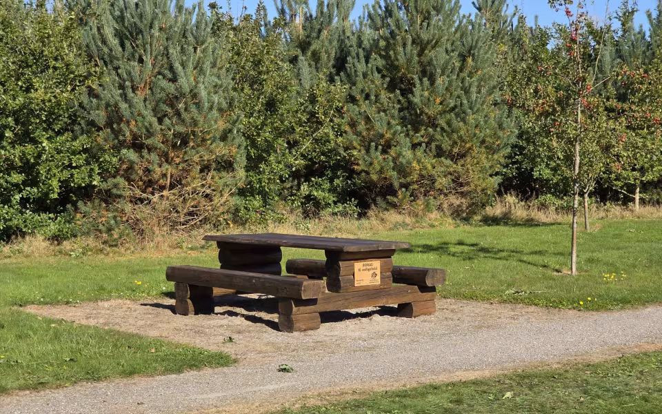 Tistrup DNA i aktion – Byskovens efterårskur.