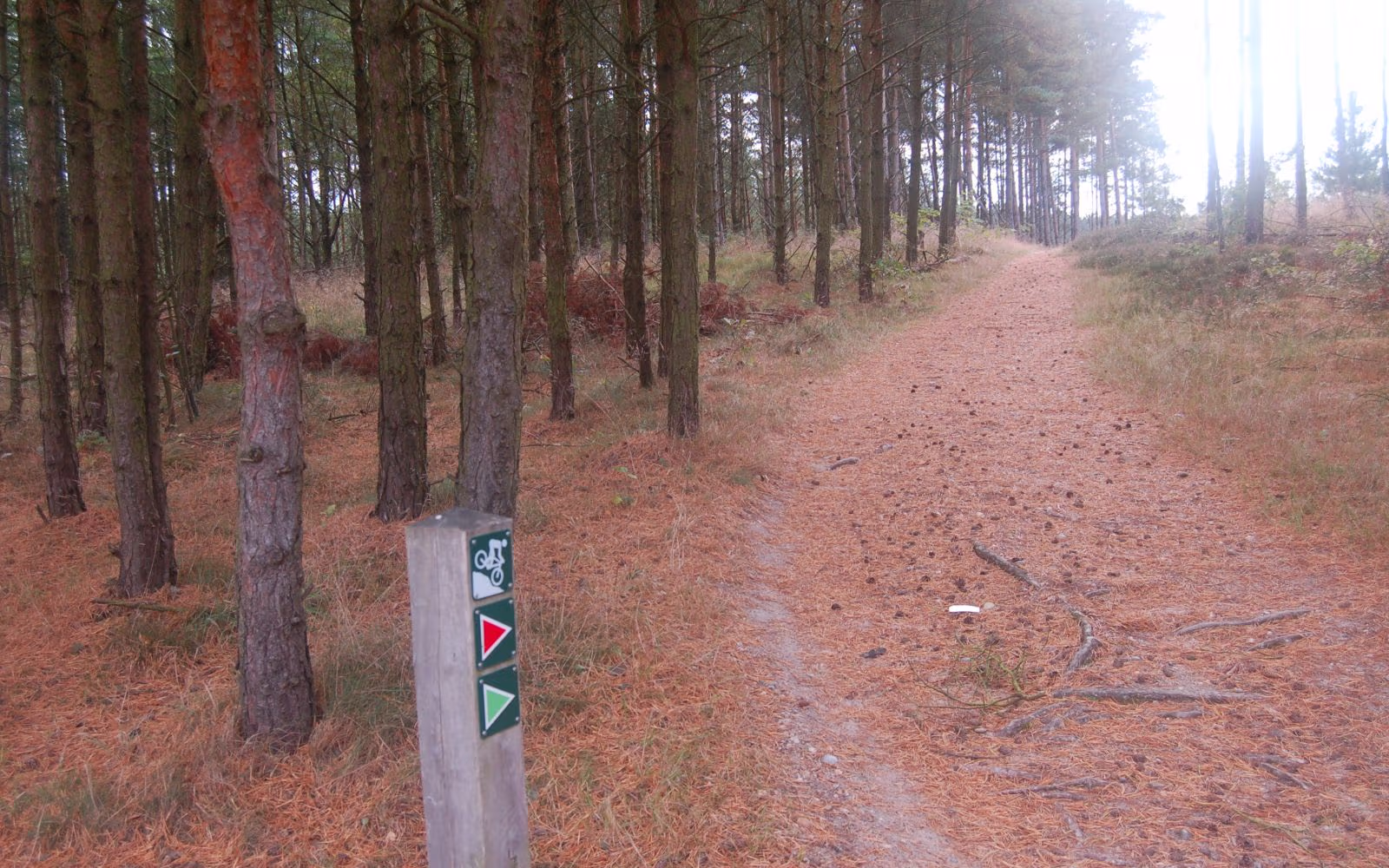 Sdr. Plantage - Grøn Rute