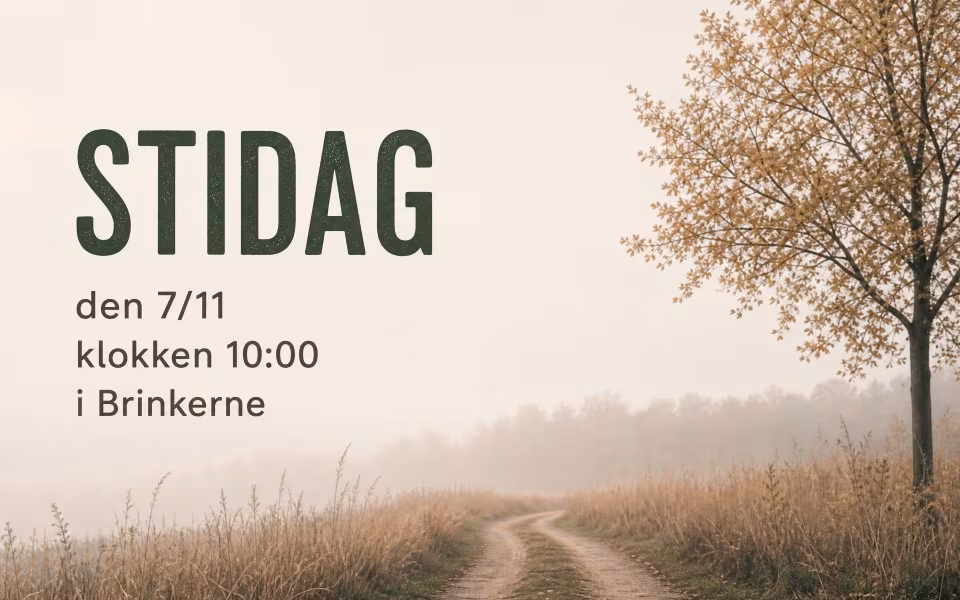 Stidag den 7/11 klokken 10:00 i Brinkerne