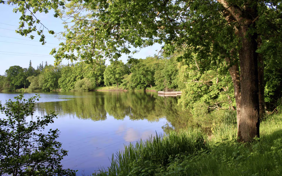 Morgenro ved Karlsgårde Sø