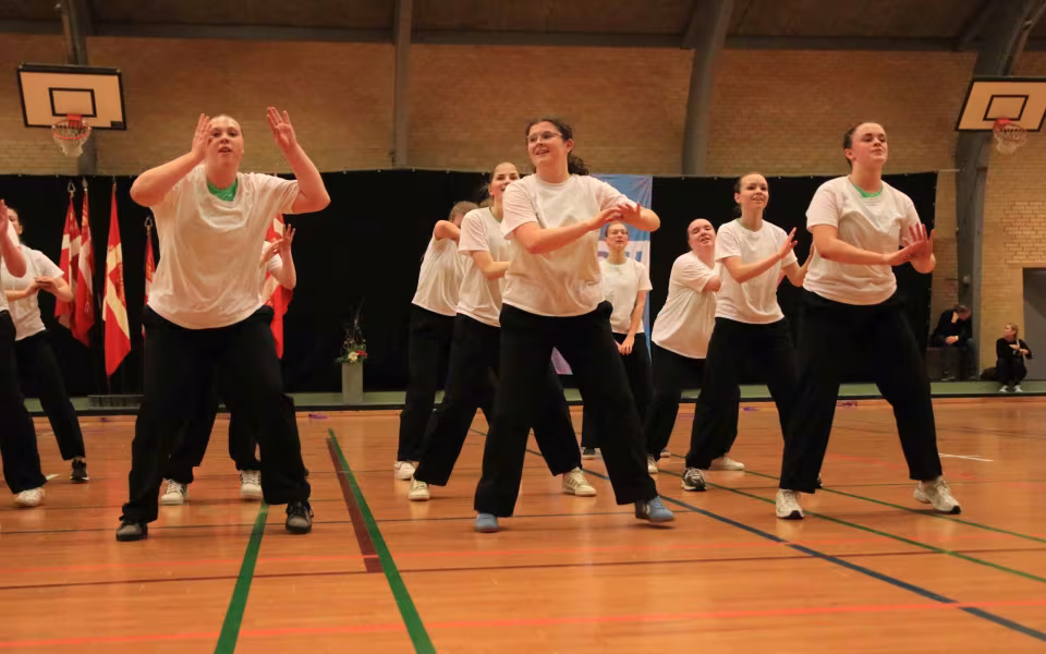 Stor succes ved DGI's opvisning