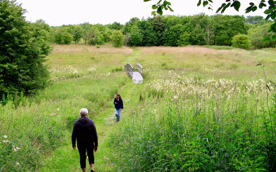Hornes Vikingelund et paradis
