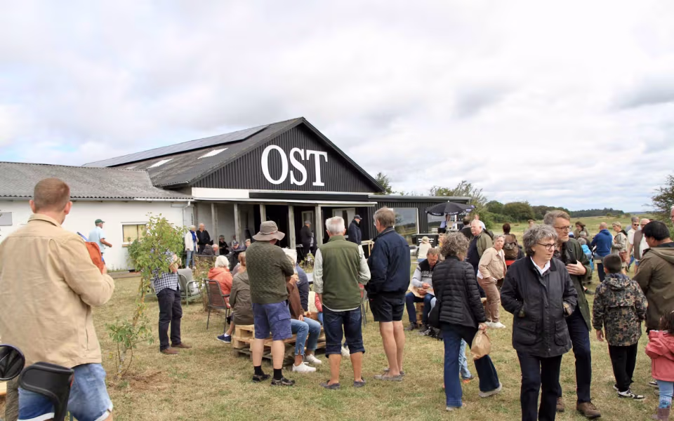 Stemnings billeder Varde Å Dag