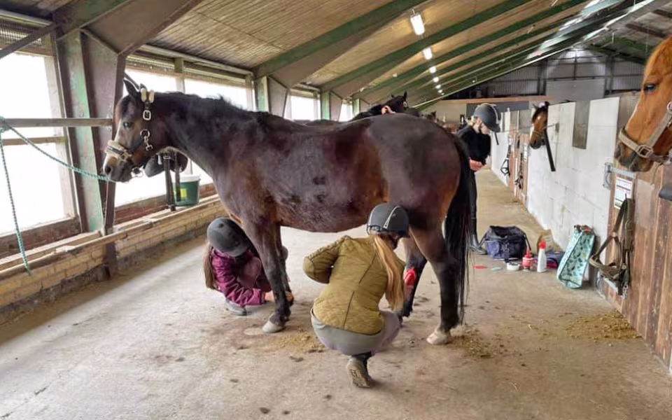 Ponyhygge i Rideklubben Ansager