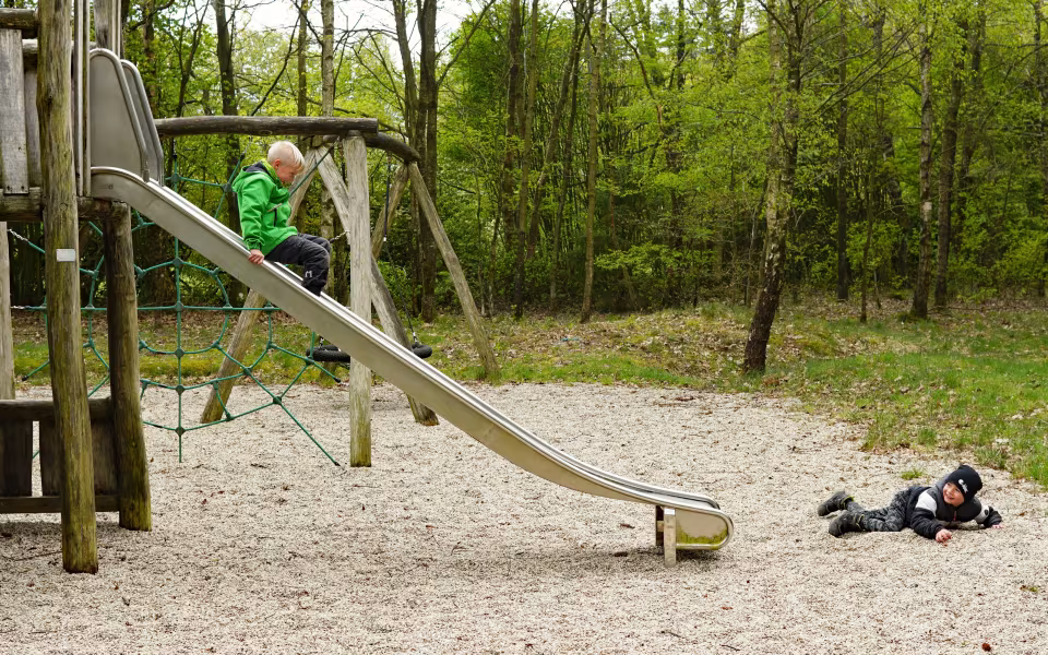 Skovens Dag 2019 i Ansager Kommuneplantage