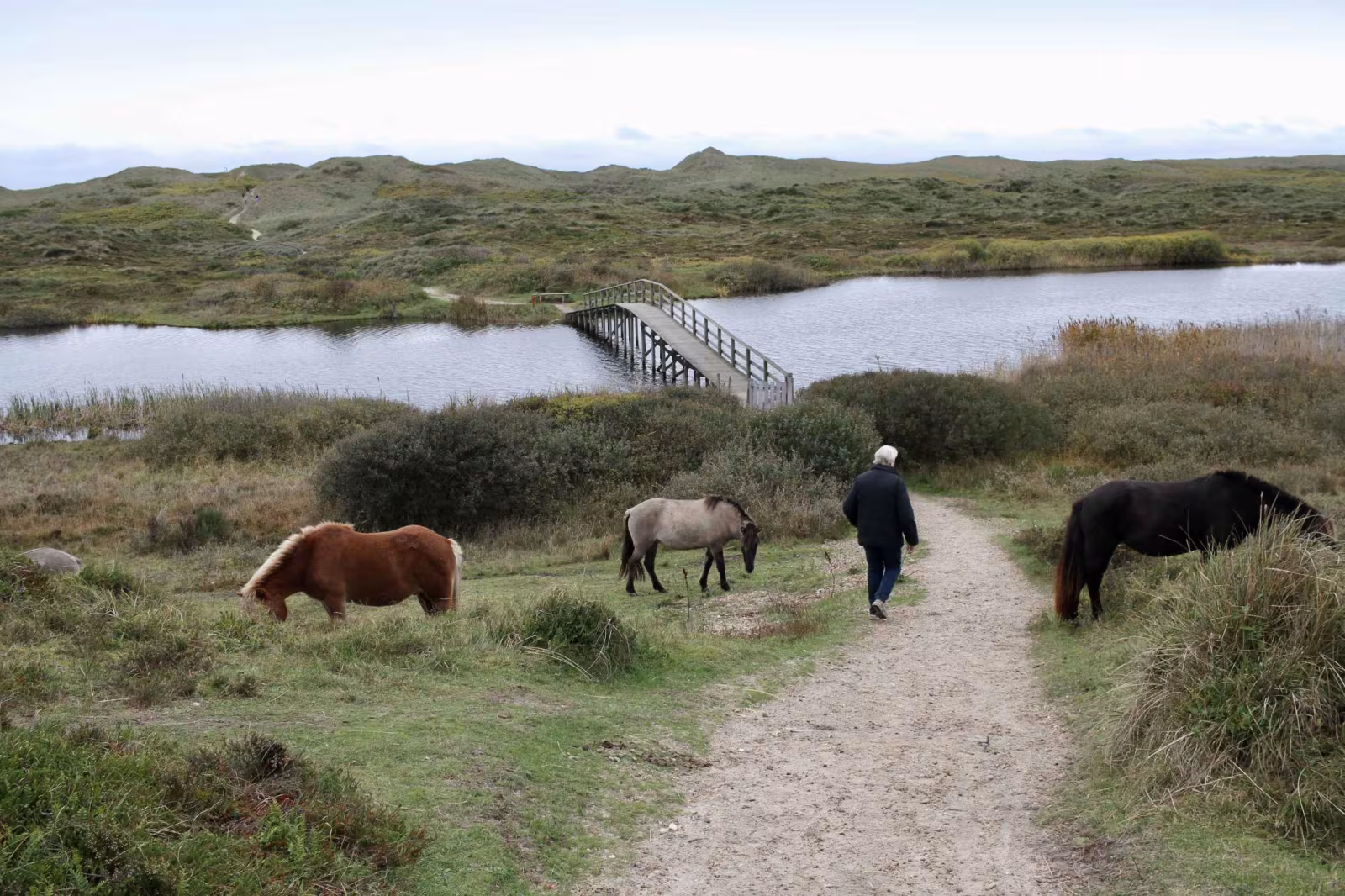 På vandring gennem sandets historie