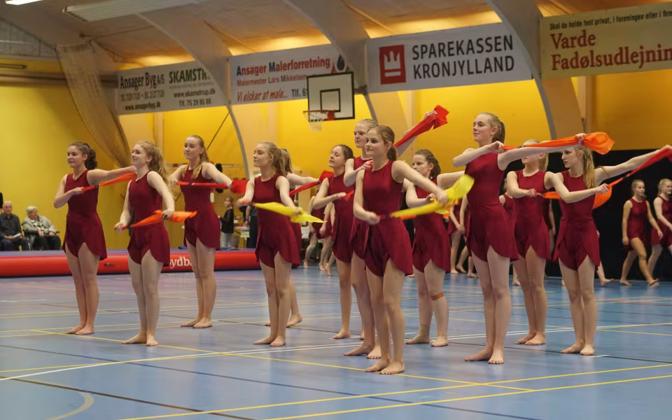 Gymnastikopvisning 2019