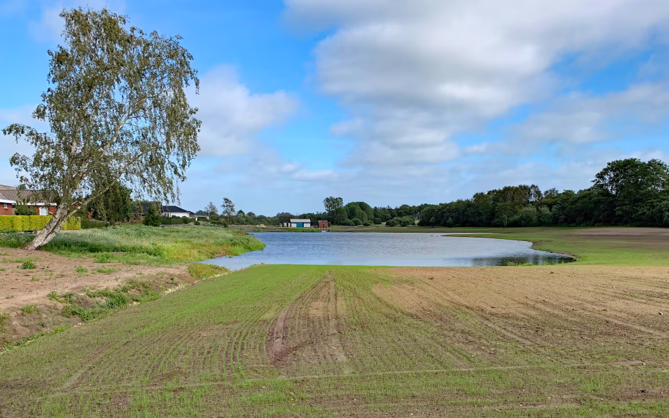 Blomstereng ved Ansager Søpark
