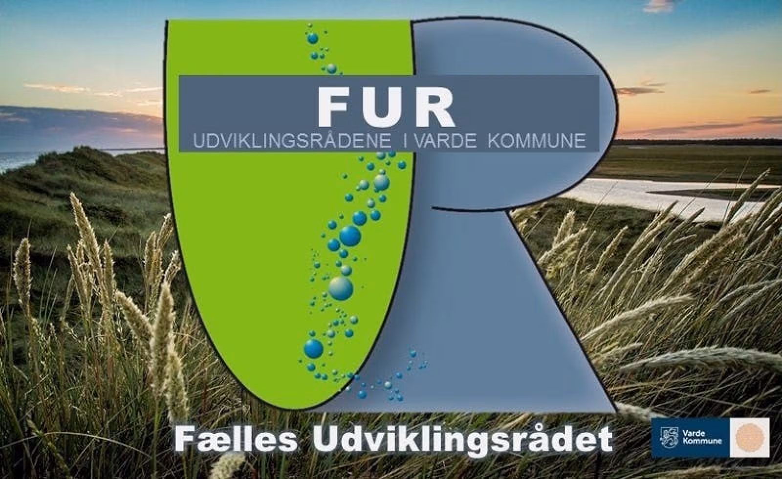 Varde kommunes udviklingsråd