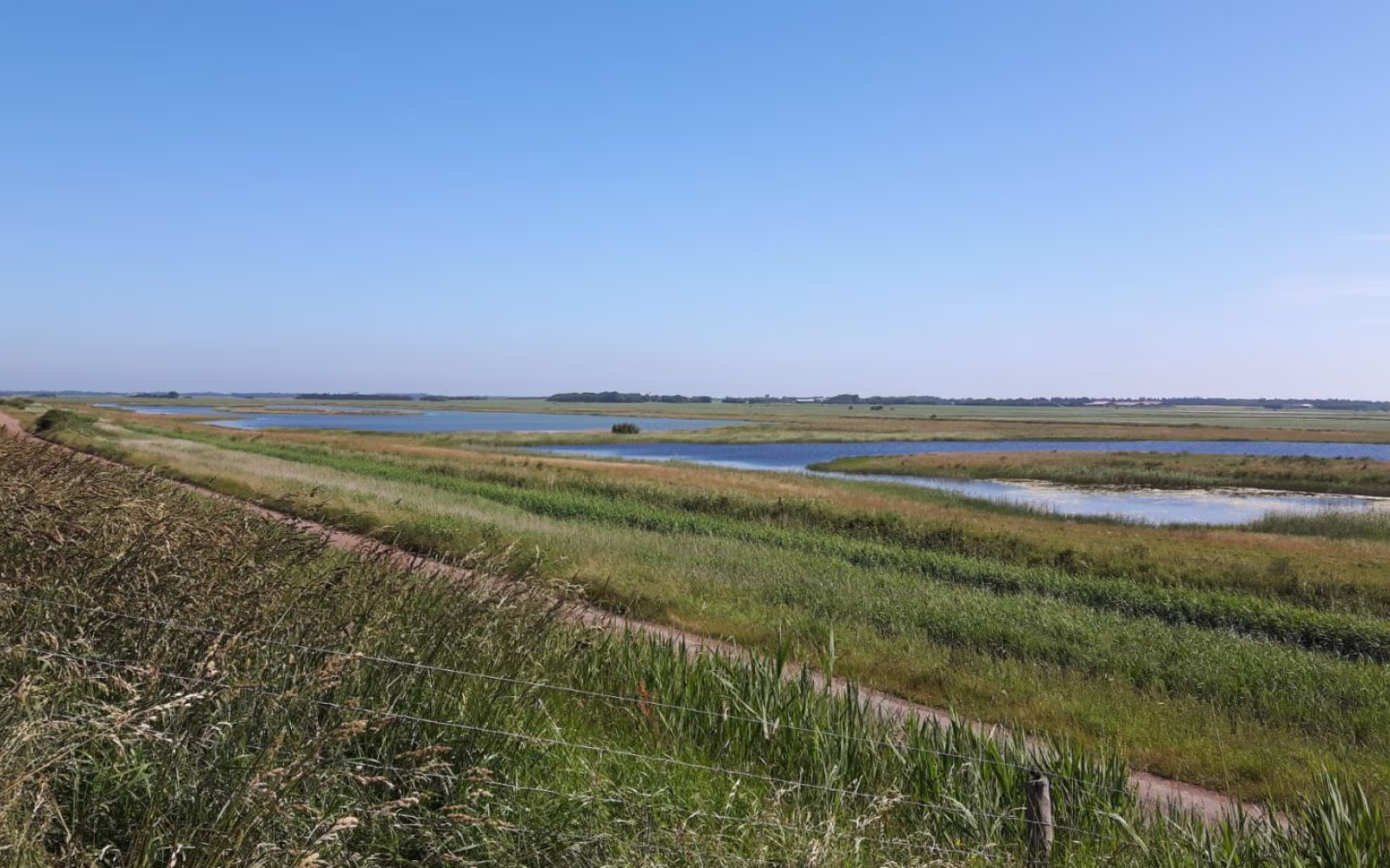 Fløjdiget
