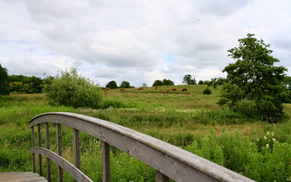 Hornes Vikingelund et paradis