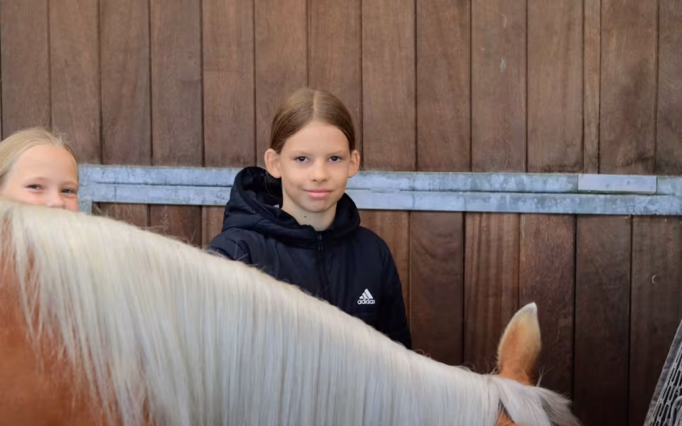 100 års fejring med 4H Børnedyrskue