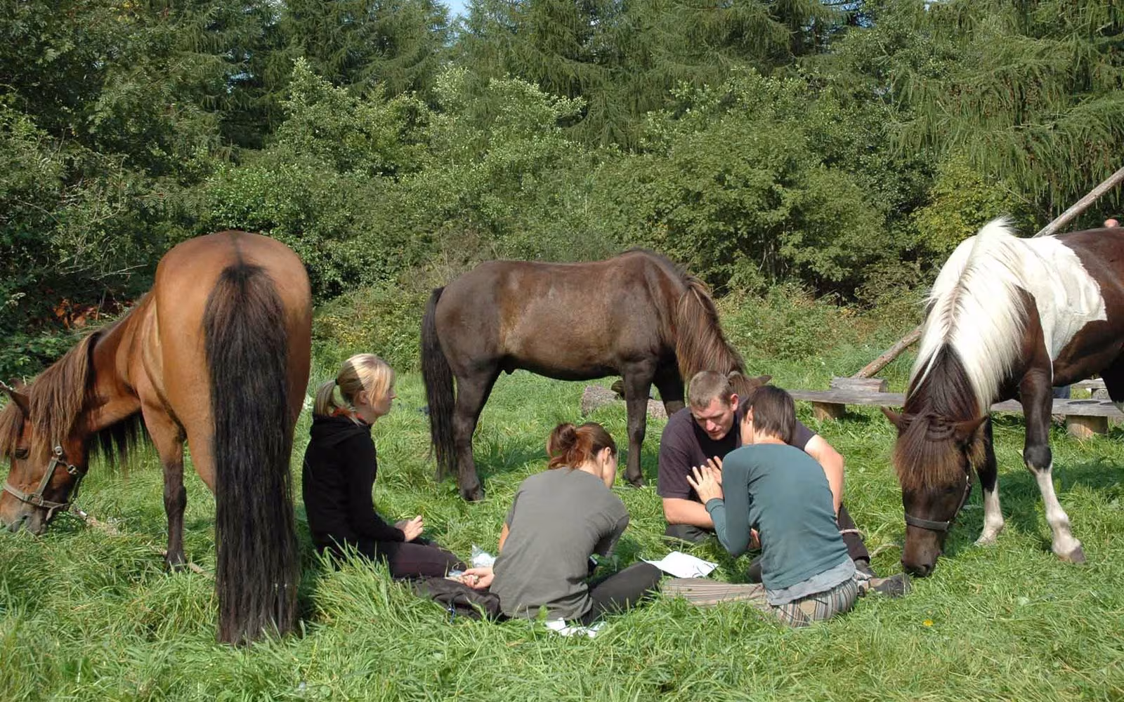 Rold Skov, Rideruter 2019
