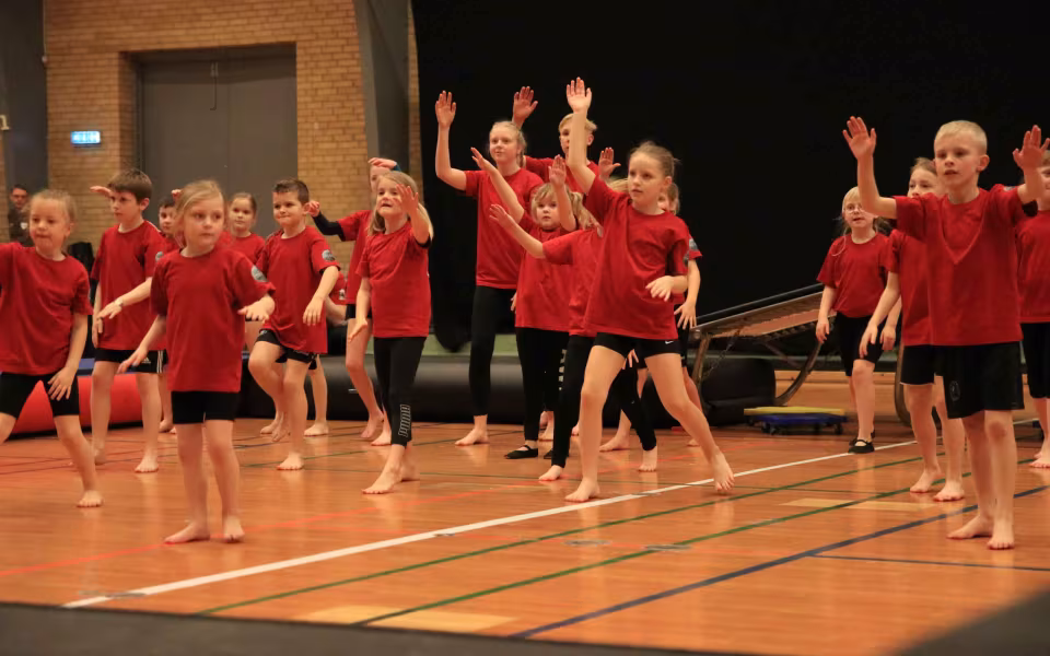 Stor succes ved DGI's opvisning