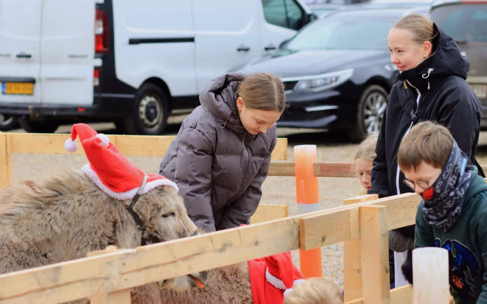 Julemarked samlede Billum i hallen