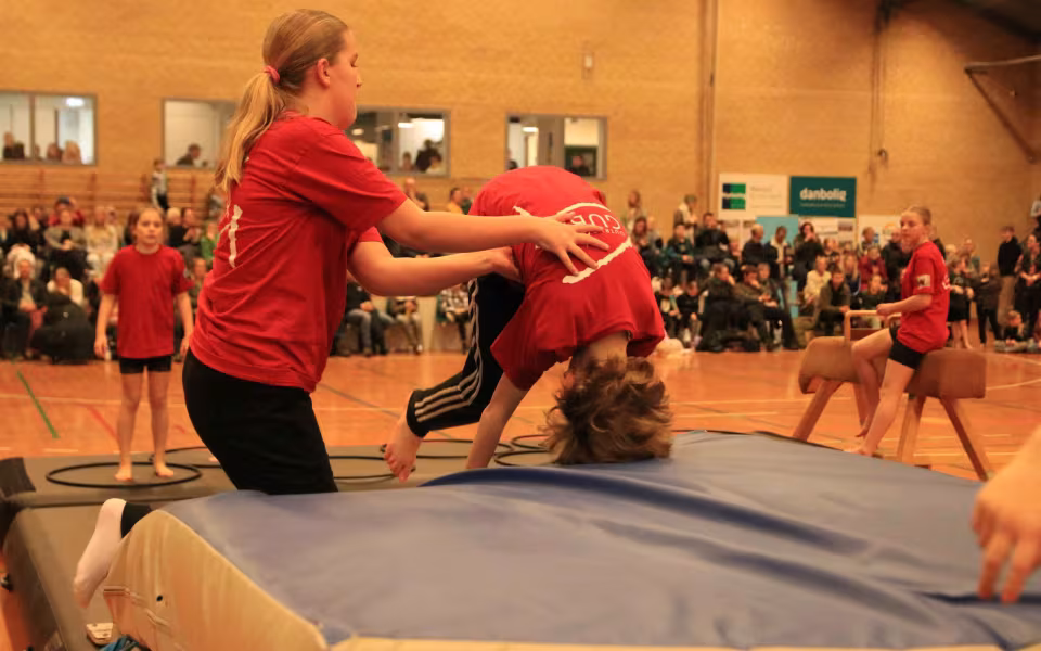 Stor succes ved DGI's opvisning