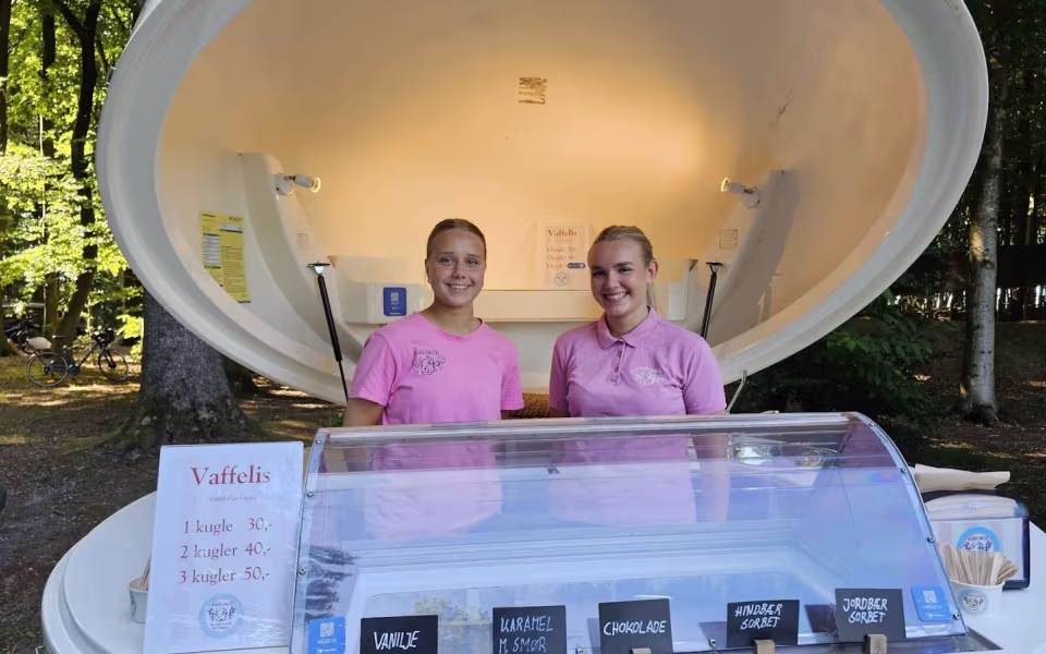 Billeder fra Midsommerfest I Tistrup anlæg 2025