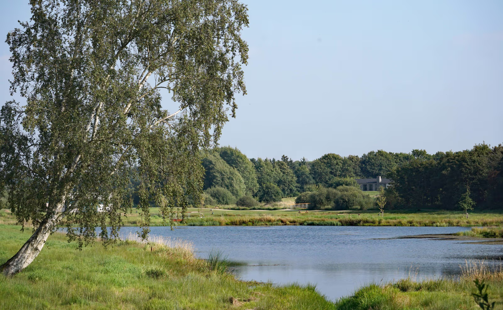 Forvaltningsplan for Ansager Søpark
