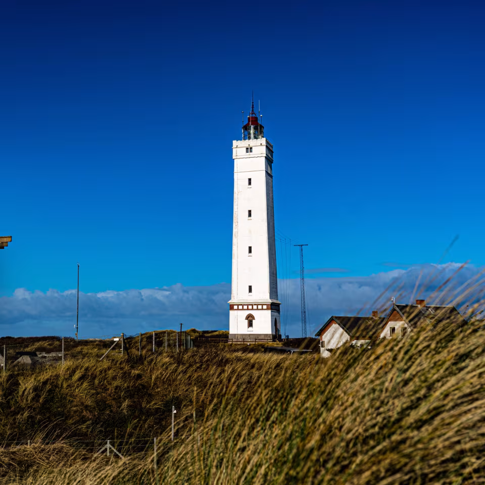 Geführte Bunkertour in den Dünen am Leuchtturm Blåvand (Deutschsprachiger Guide)