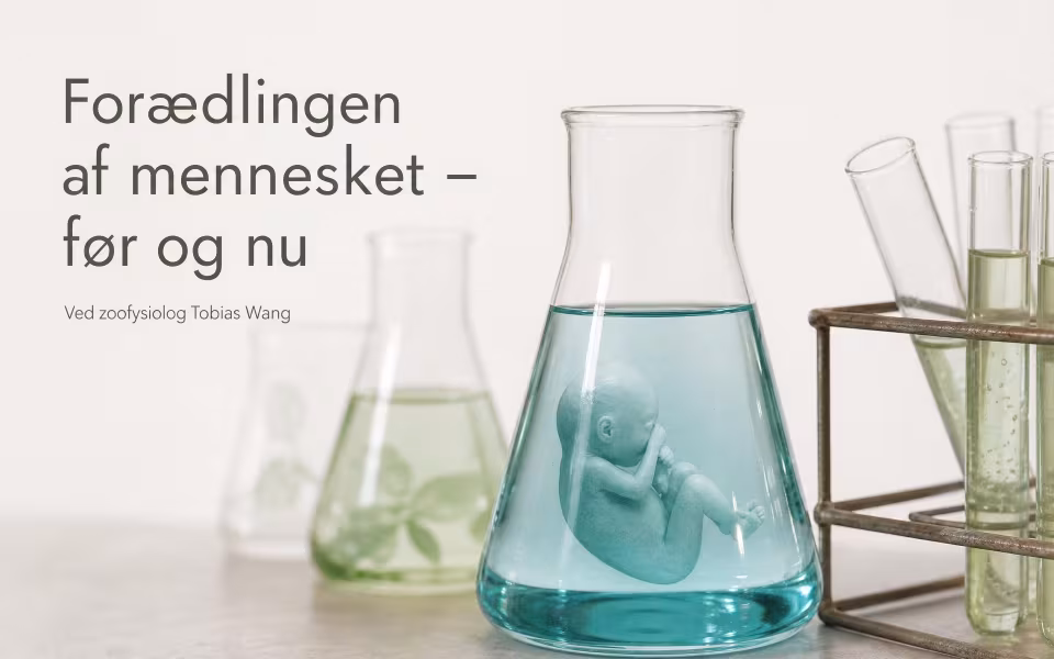 Forædlingen af mennesket – før og nu Ved zoofysiolog Tobias Wang
