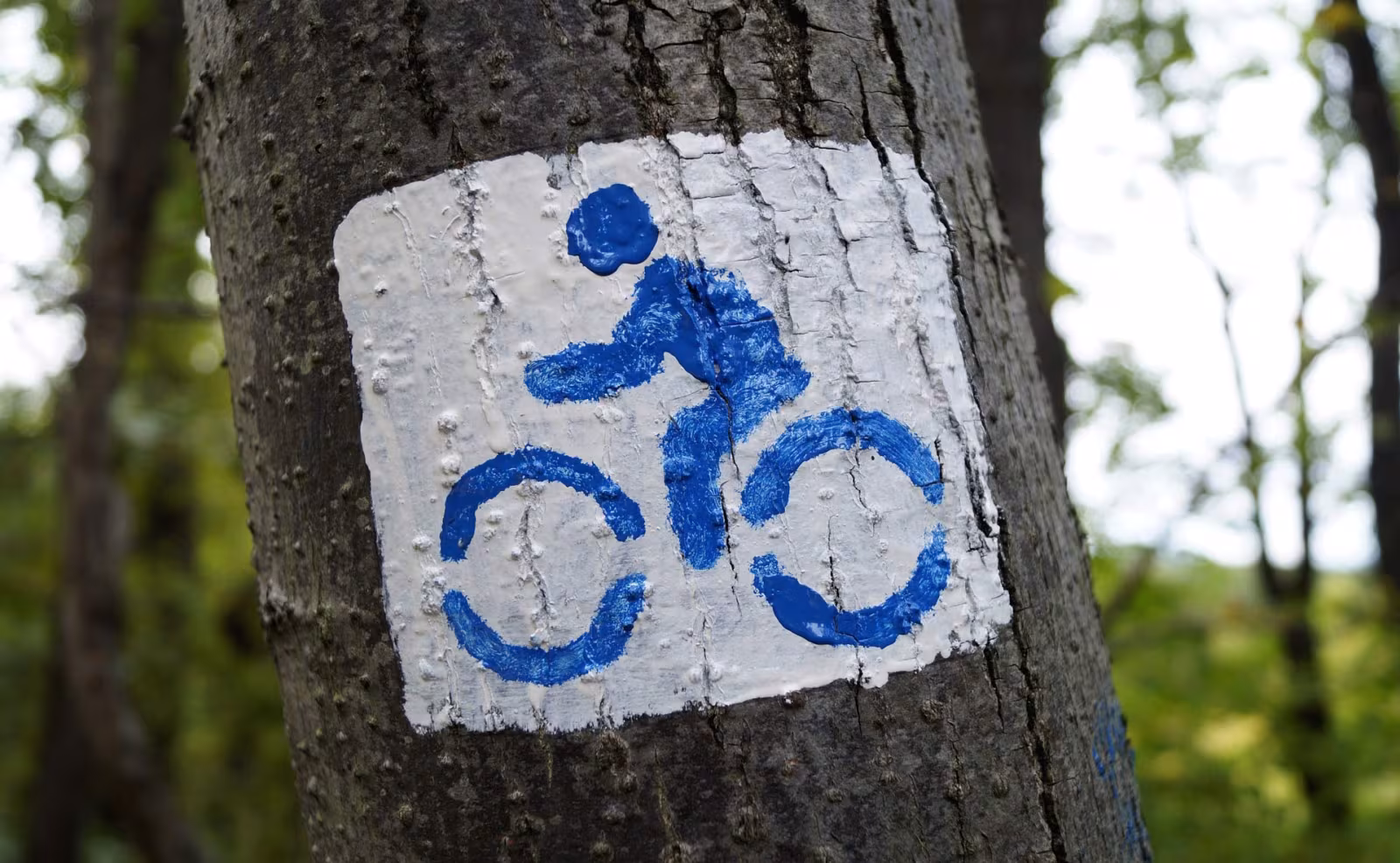 Invitation: Indvielse af cykelsti Tistrup-Hodde