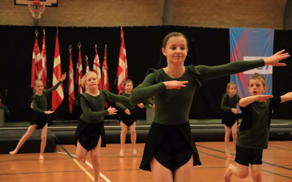 Stor succes ved DGI's opvisning
