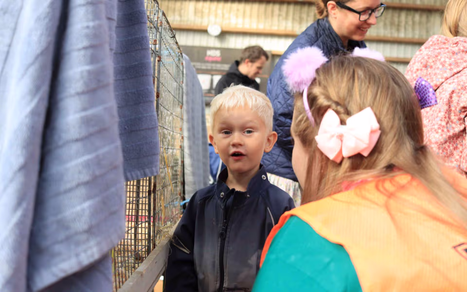 Succesfuldt børnedyrskue for hele familien