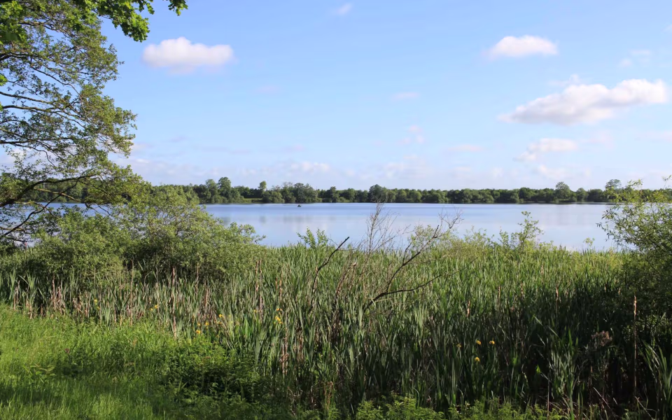 Morgenro ved Karlsgårde Sø