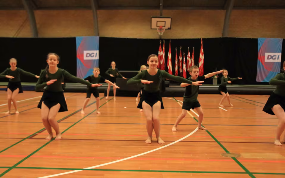 Stor succes ved DGI's opvisning