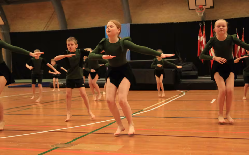 Stor succes ved DGI's opvisning