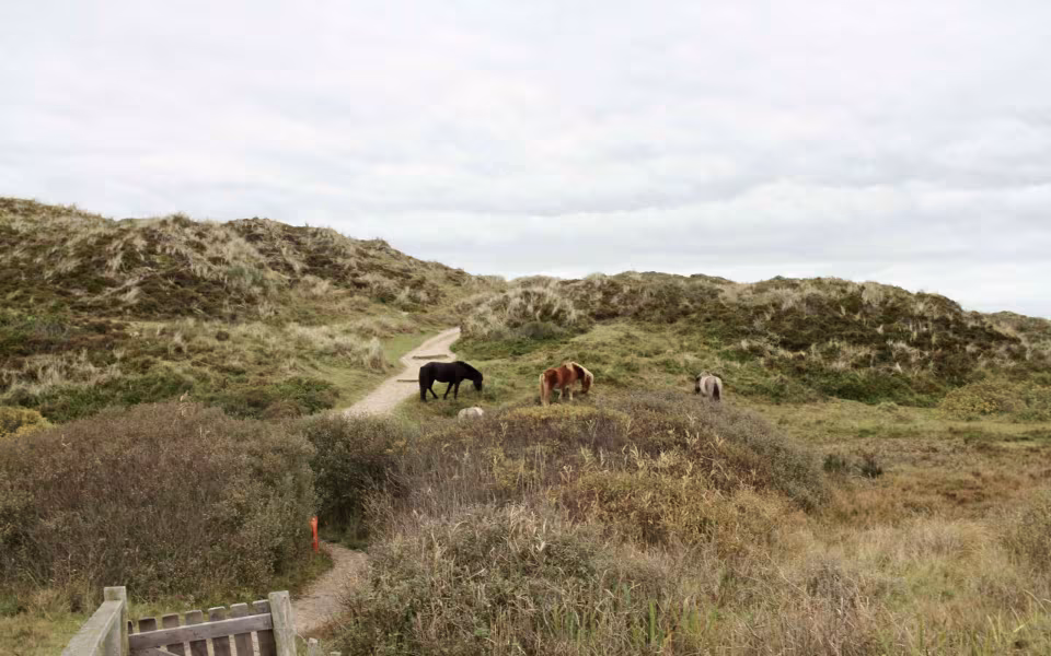 På vandring gennem sandets historie