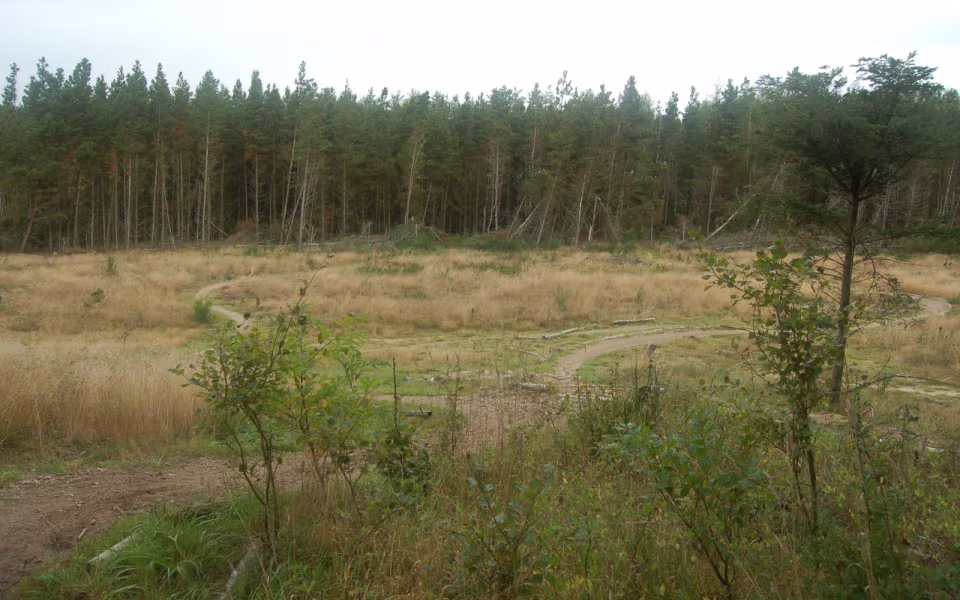 Sdr. Plantage - Blå rute