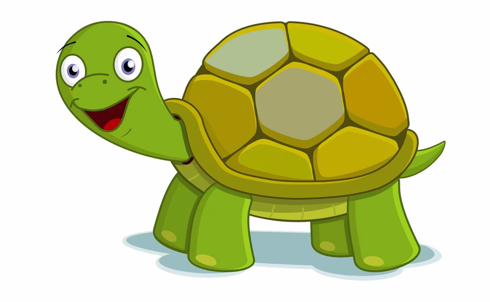 Skildpadde eller hare?