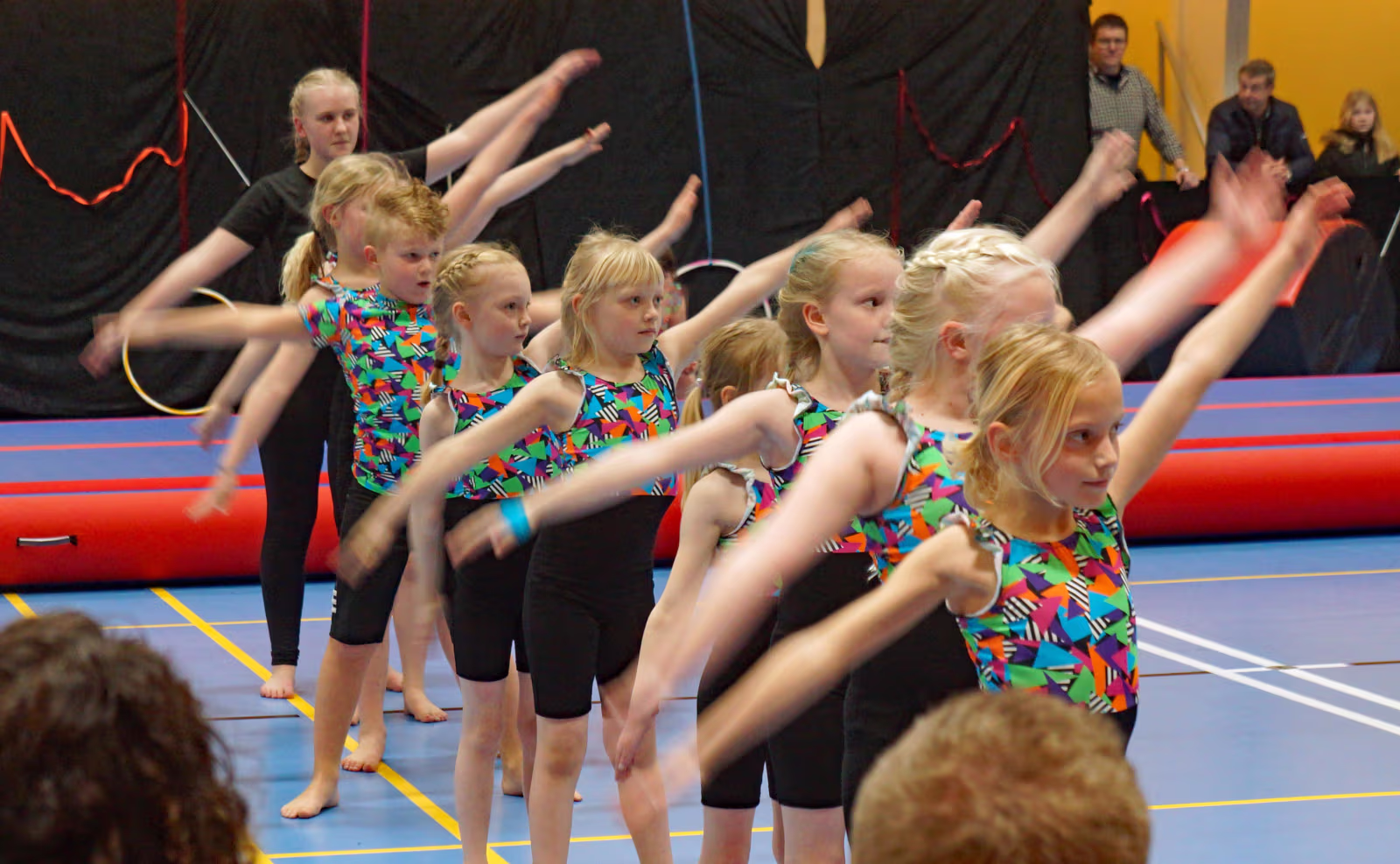 Fra opvisningen i hallen 2018