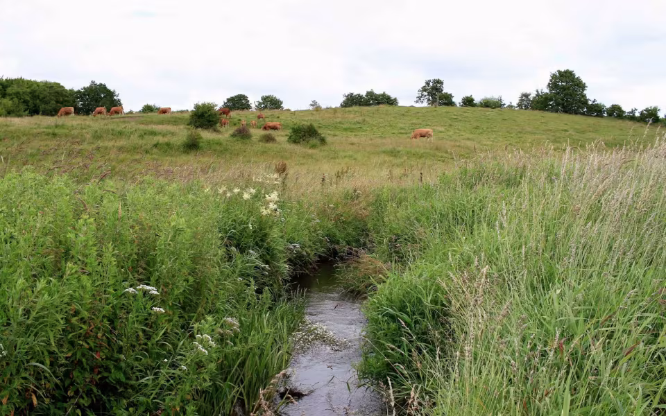 Hornes Vikingelund et paradis