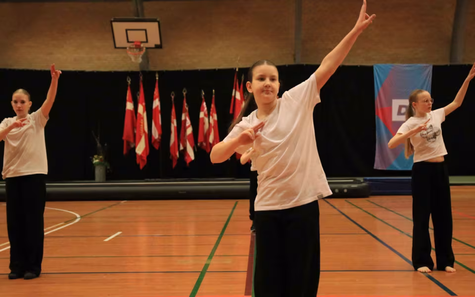 Farverig opvisning lyser Sportspark op