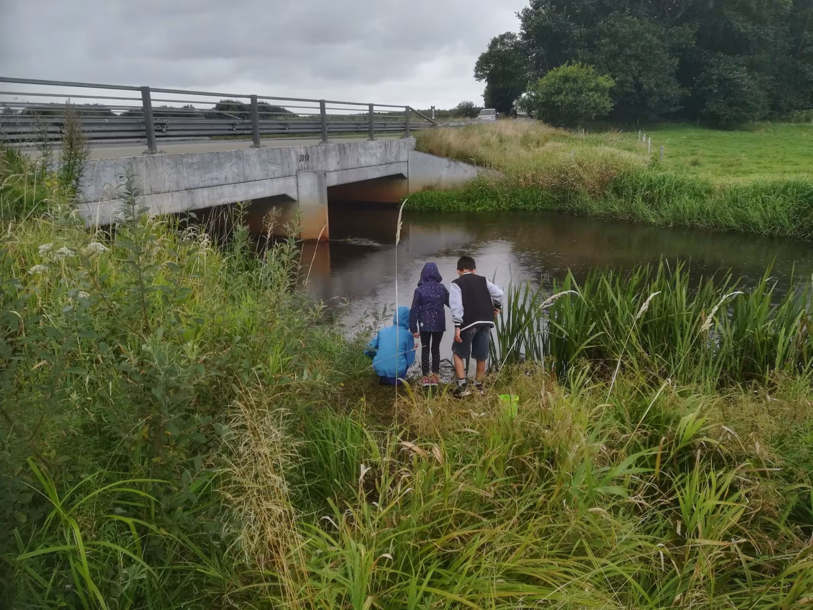 Billeder fra Varde Å dag i Hodde den 18-8-2019